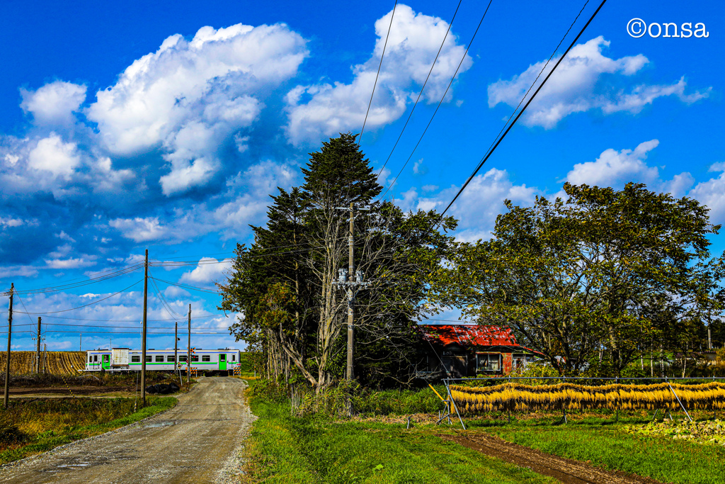 稲架(はさ)掛けのある風景