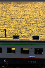 サンタが海にやって来た❗️