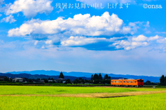 秋は何処にあるのやら〜本日立秋〜