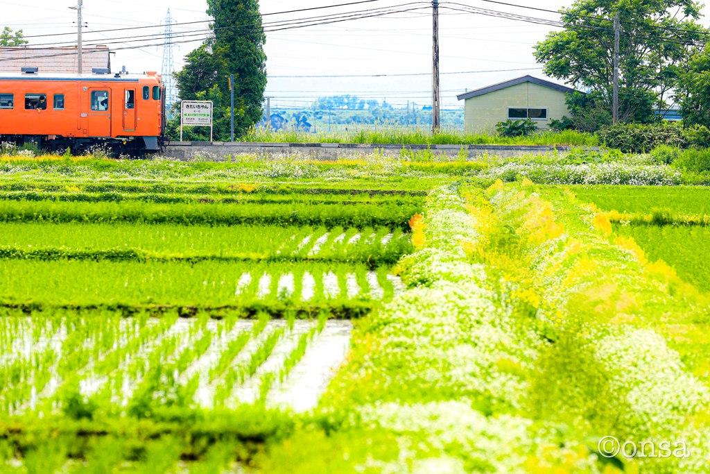 「北一已」まるで友達のあだ名のような駅！