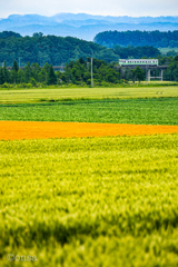 大地の四重奏