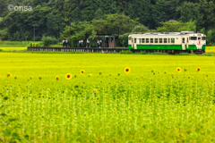 緑の中の蕾たち