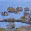 湖沼の春