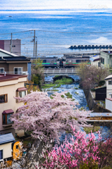マニアックな話ですが、日本ではここだけ！