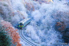 自然の織りなす芸術的光景