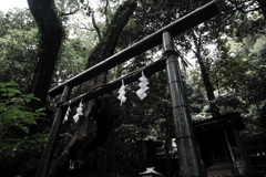 来宮神社2