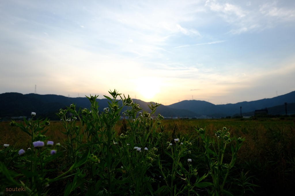 夕暮れ時