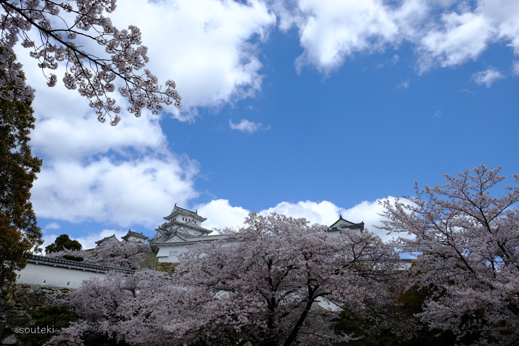 姫路城#2