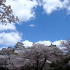 姫路城#2
