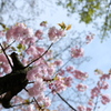 KANZAN