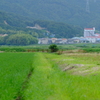 DSCF7513
