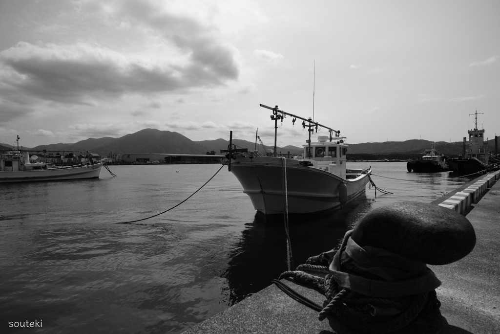 DSCF8990