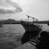 DSCF8990