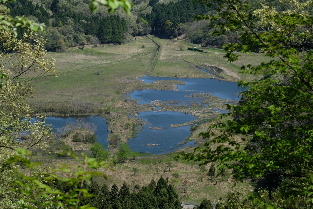 中池見湿地