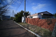 冬の穏やかな日差し