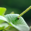 DSCF8122