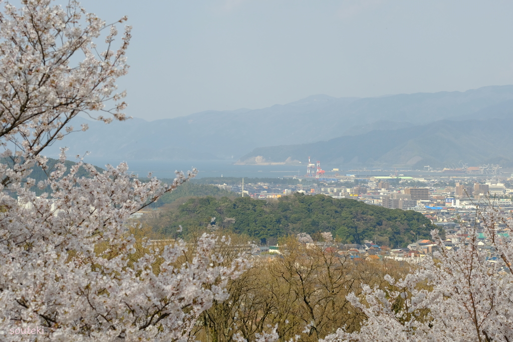 薄靄のかかる敦賀湾