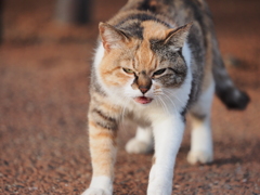 なんだよ