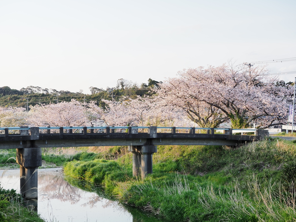 春の夕方
