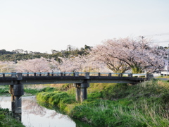 春の夕方