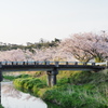 春の夕方