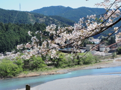 春