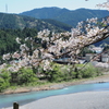 春