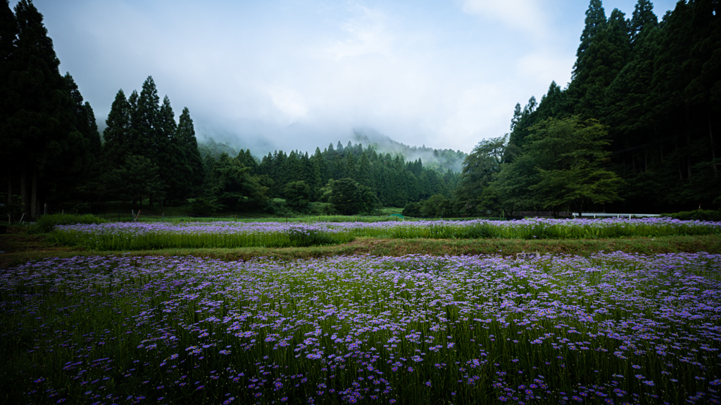 山間の朝
