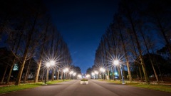 公園の夜景