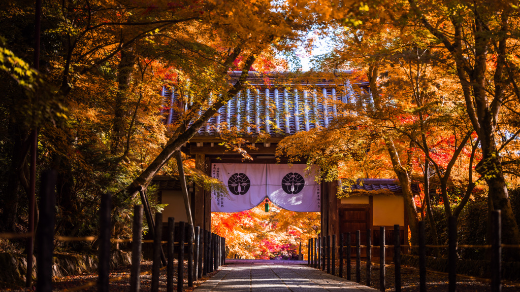 光明寺