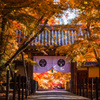 光明寺