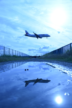 飛行機