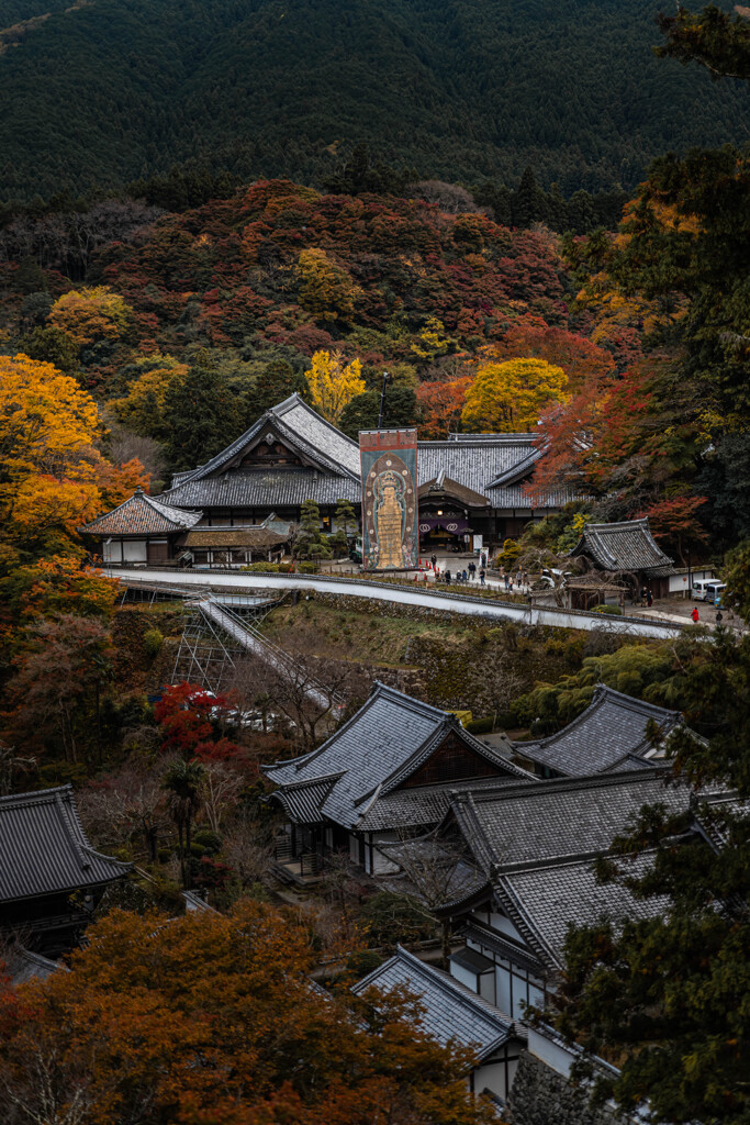 長谷寺