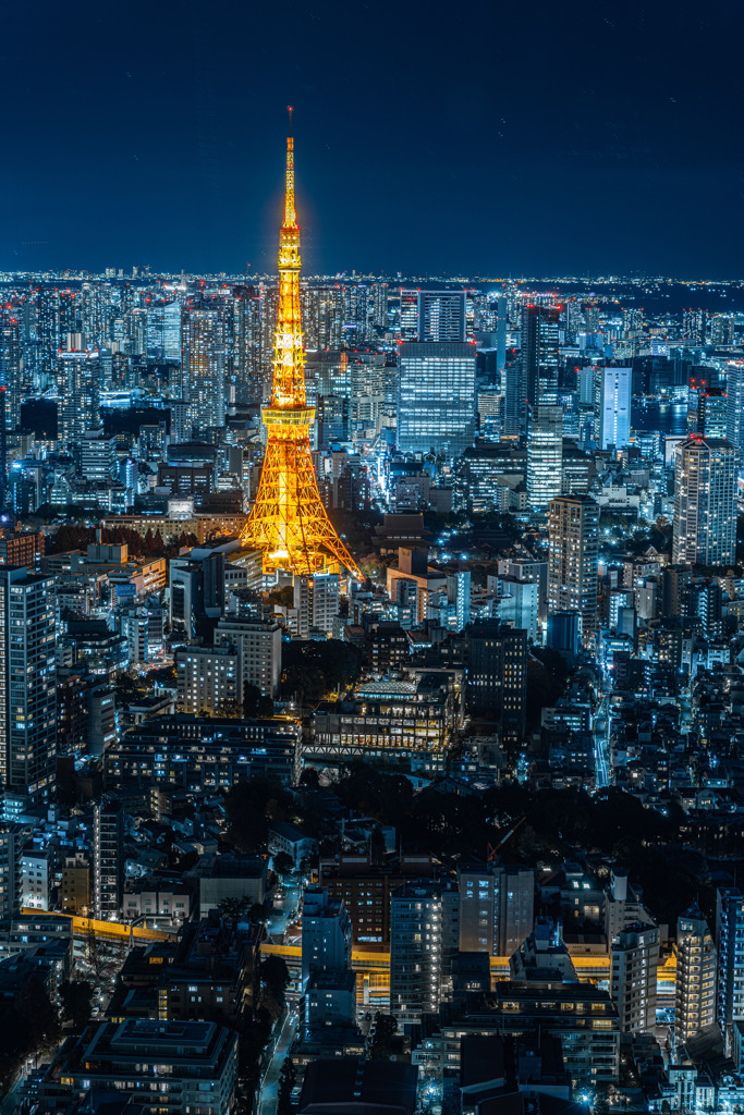 東京タワー