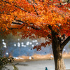 公園で散歩