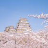 姫路城
