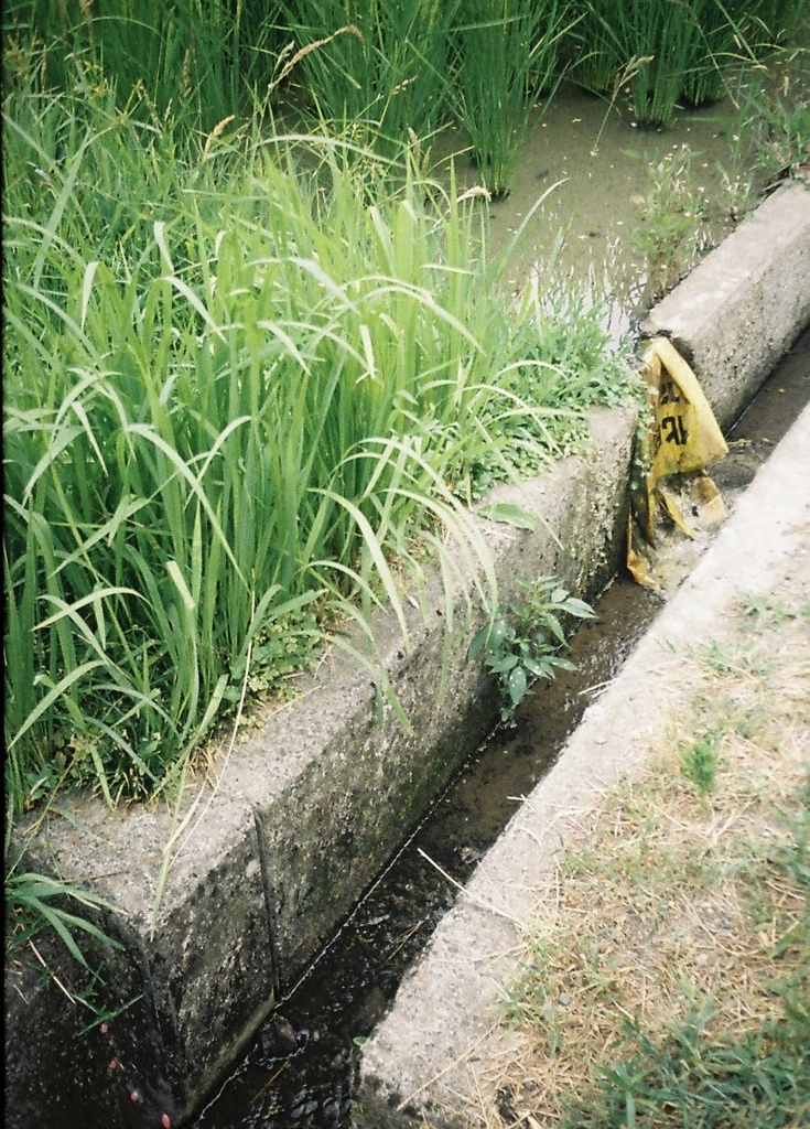 道端で