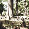 万博記念公園