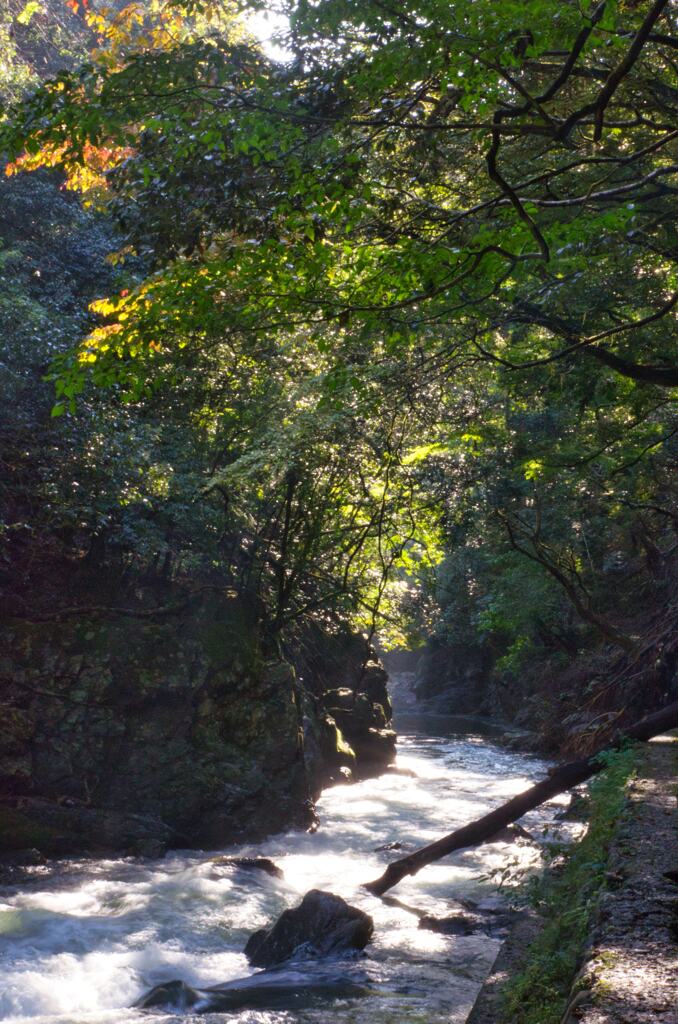 京都　清滝川