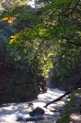 京都　清滝川
