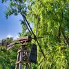 万博記念公園