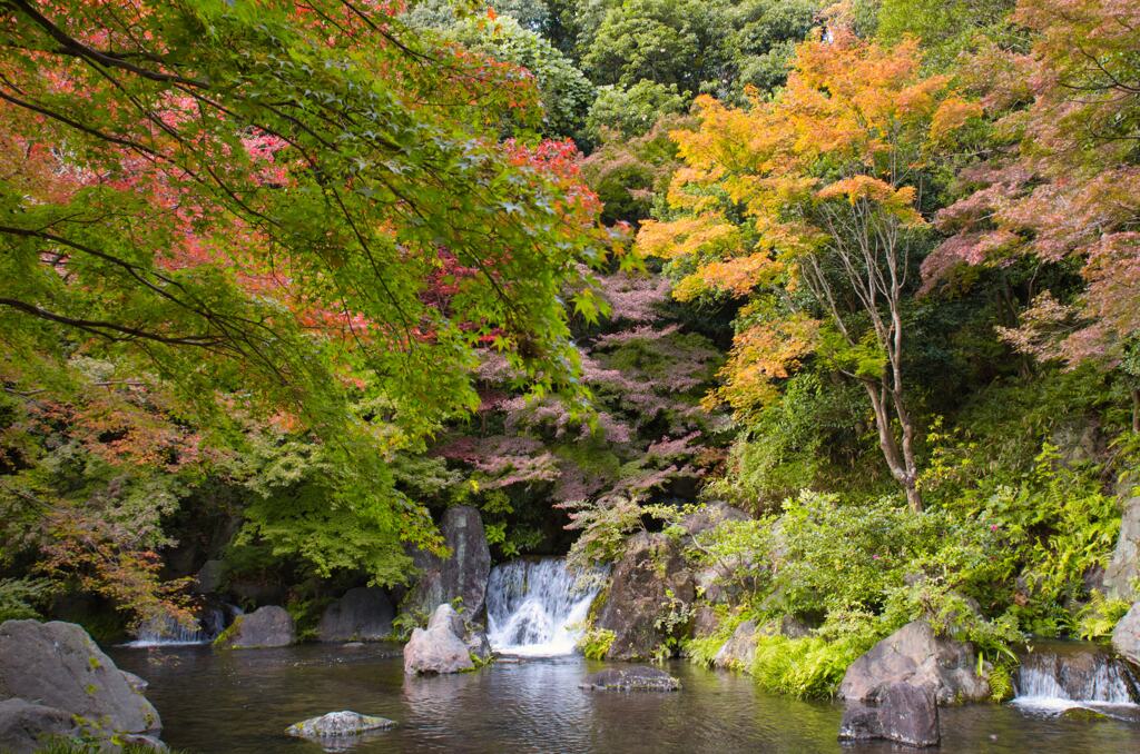 万博記念公園