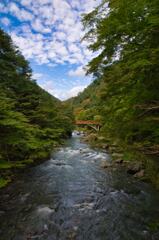 京都　清滝川