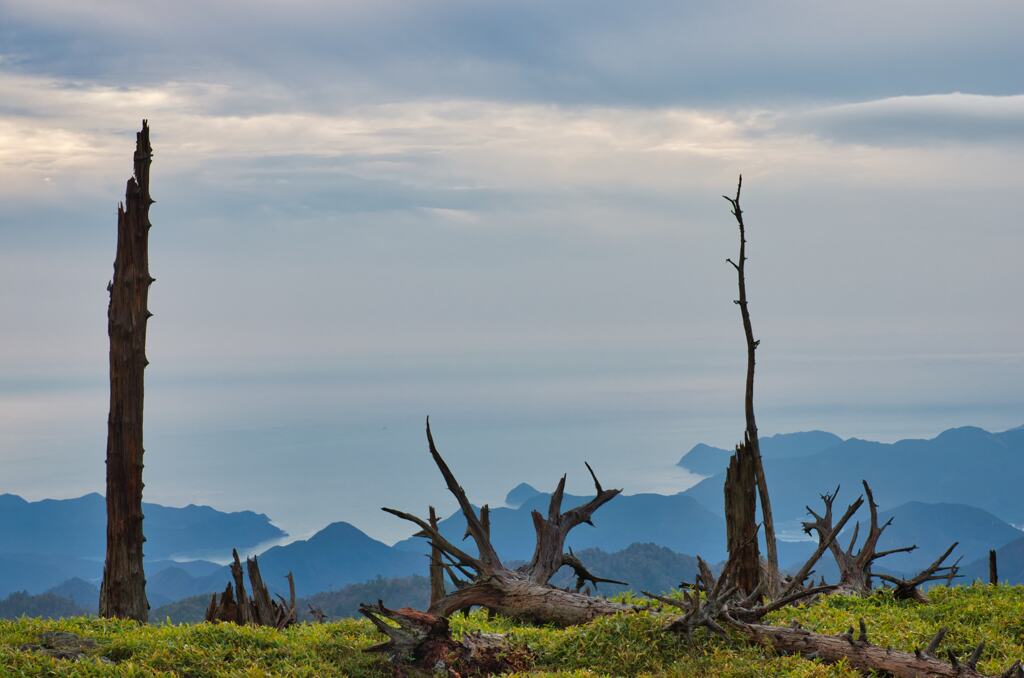 大台ケ原