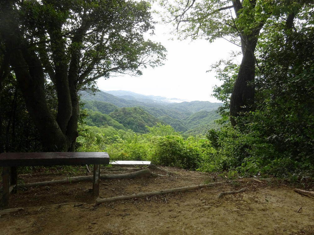 210510-08大福から和歌山