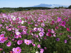 221026-02白木峰高原