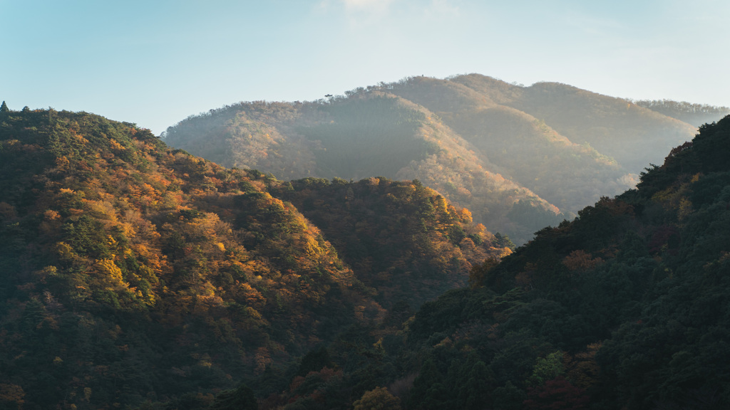 ちょっと早かった紅葉