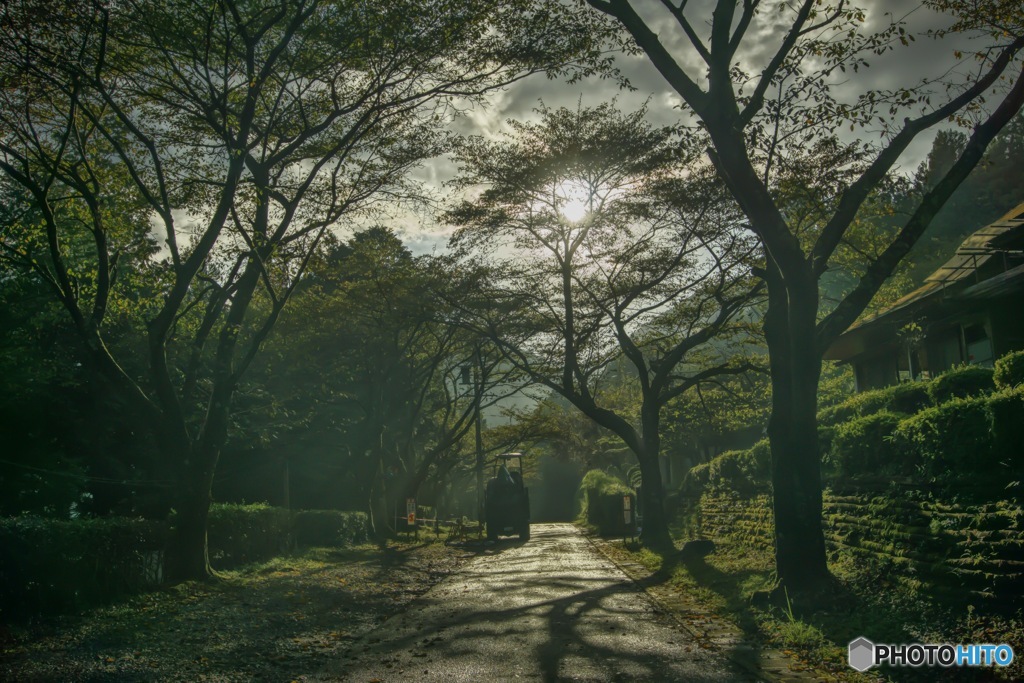 公園でそれっぽく