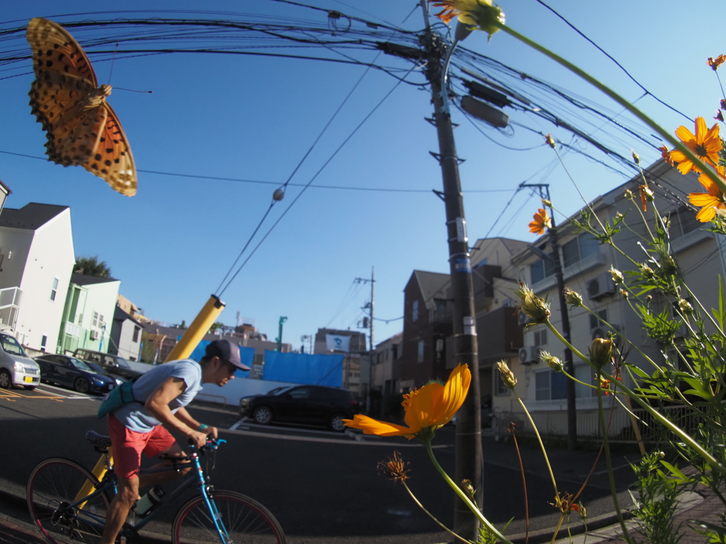 ボディキャップレンズで遊ぶ、その1