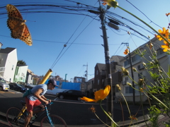 ボディキャップレンズで遊ぶ、その1